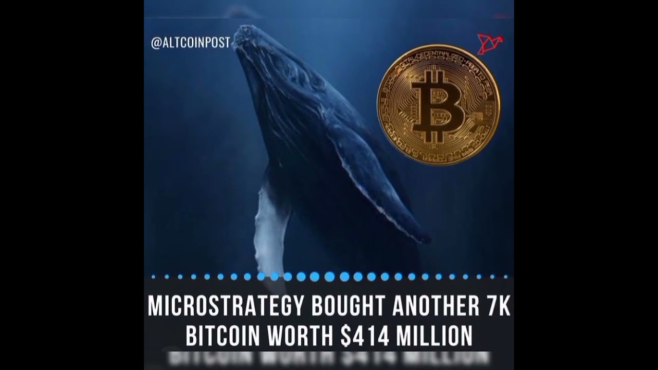 Cryptocurrency News Today