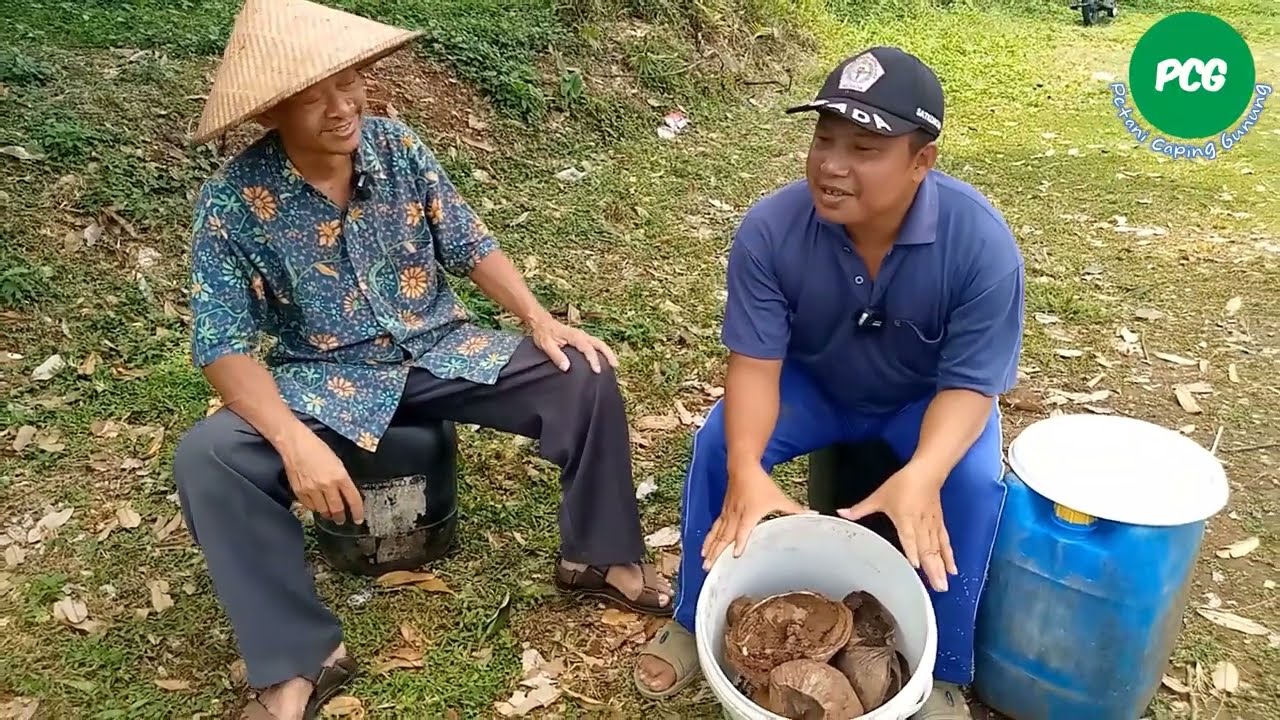 AKHIRNYA TERBONGKAR! RAHASIA MEMBUAT BUAH YANG MASAM MENJADI MANIS