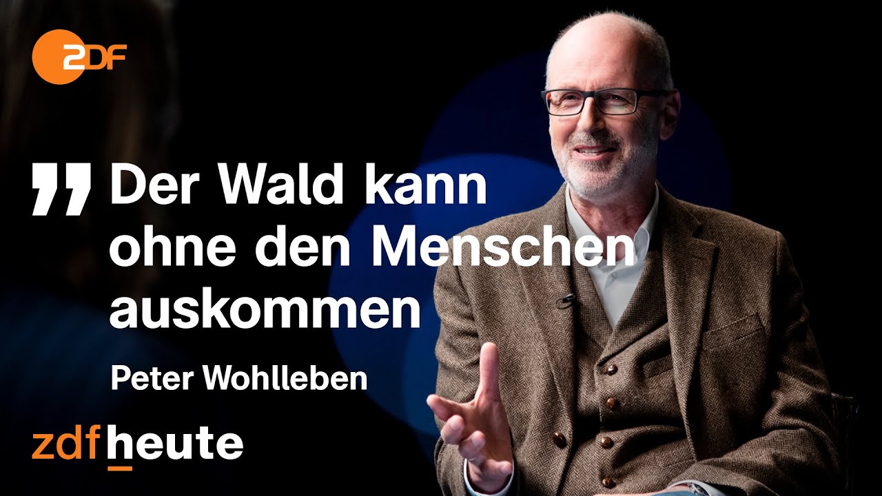 Sind unsere Wälder noch zu retten? | Precht im Gespräch mit Förster Wohlleben