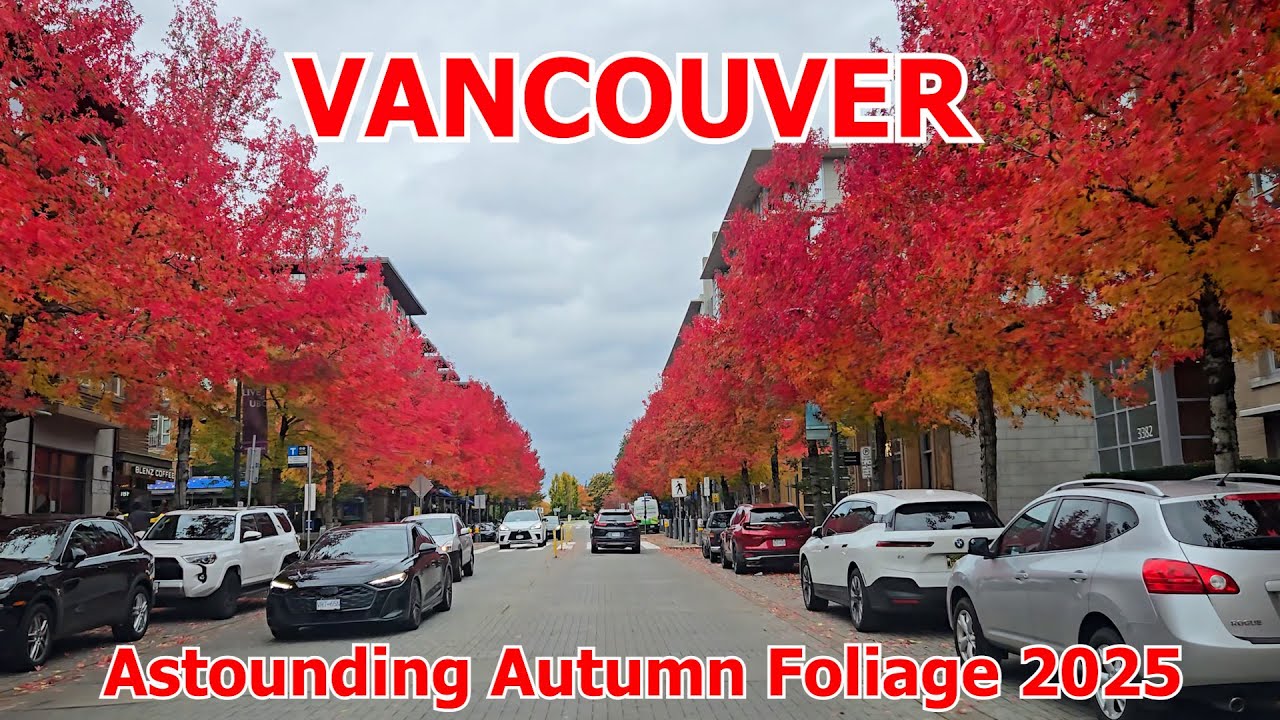 4K Vancouver Drive - ONE VANCOUVER'S MOST BREATHTAKING AUTUMN FOLIAGE on October 23 2025