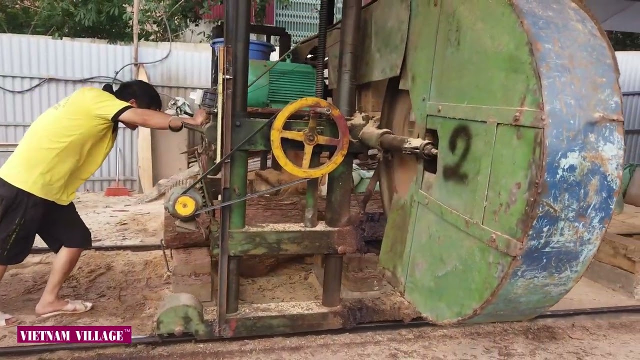 Hard Work Cutting Pine Wood in Rural Vietnam -  Vietnam Village