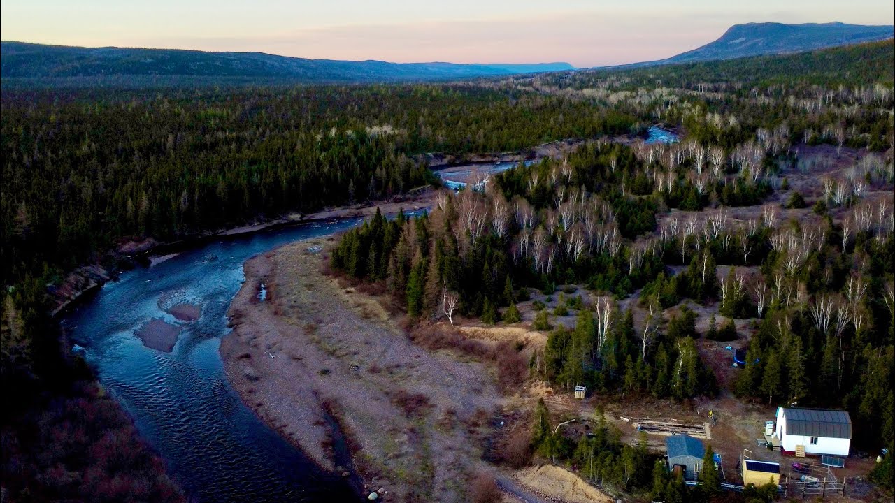 Spring on our Newfoundland Homestead | The Homestead Diaries Episode 4