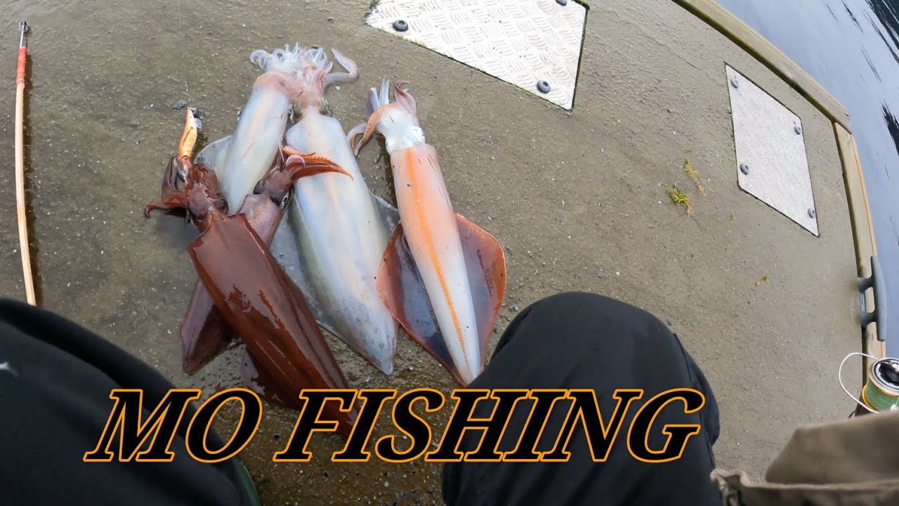 РИБОЛОВ НА КАЛМАРИ 2021гд. В Норвегия.Fishing Sguid 2021 Norwey.Ловля кальмара  в Нарвегии .Akkar