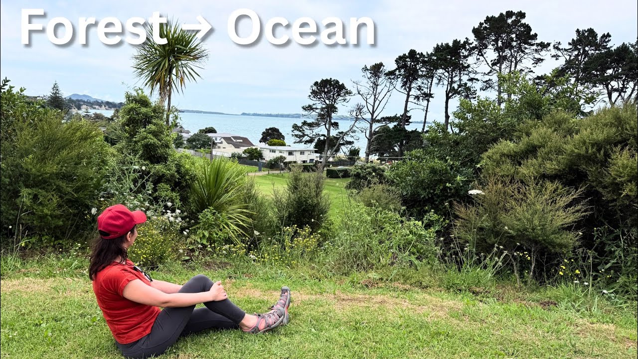 This Walk Has Everything | Forest, Wetland & Ocean in Auckland