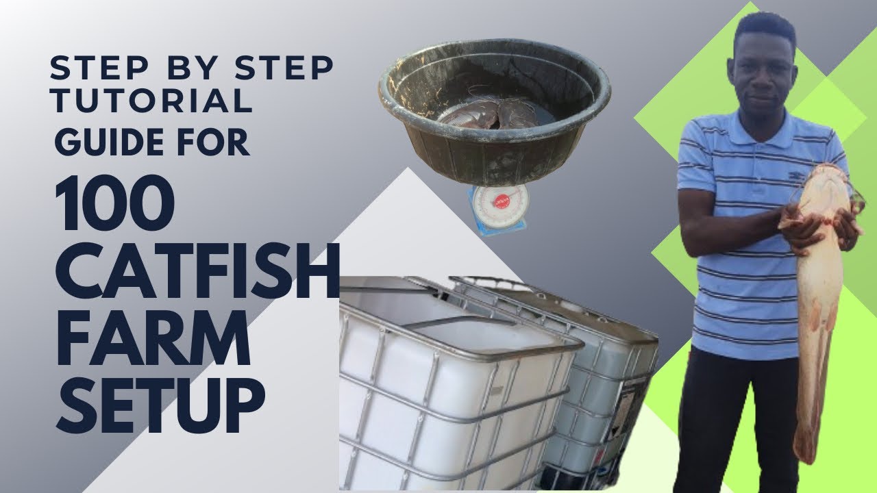 100 Catfish Farm setup | The ULTIMATE guide | Backyard Fish Farm