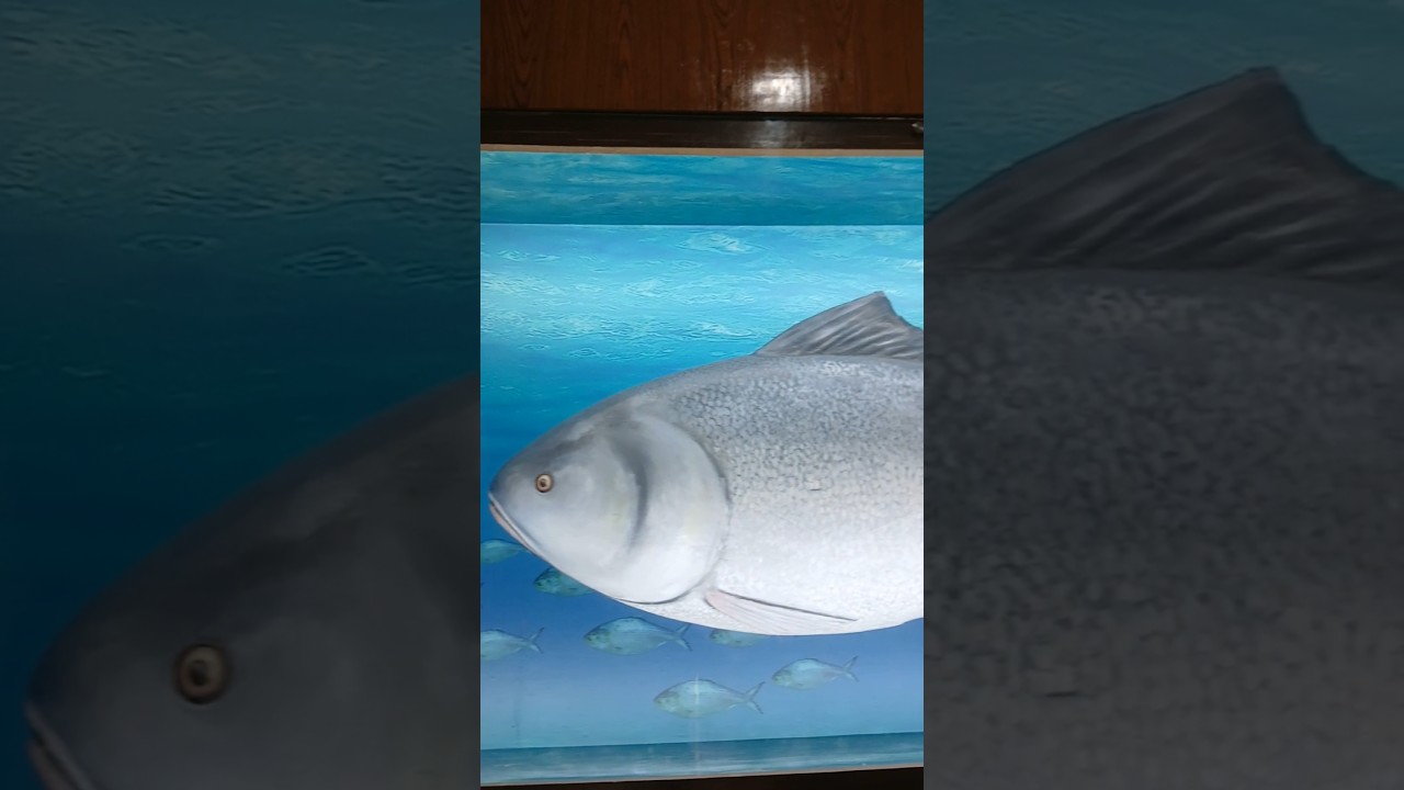 National Fish of Bangladesh
