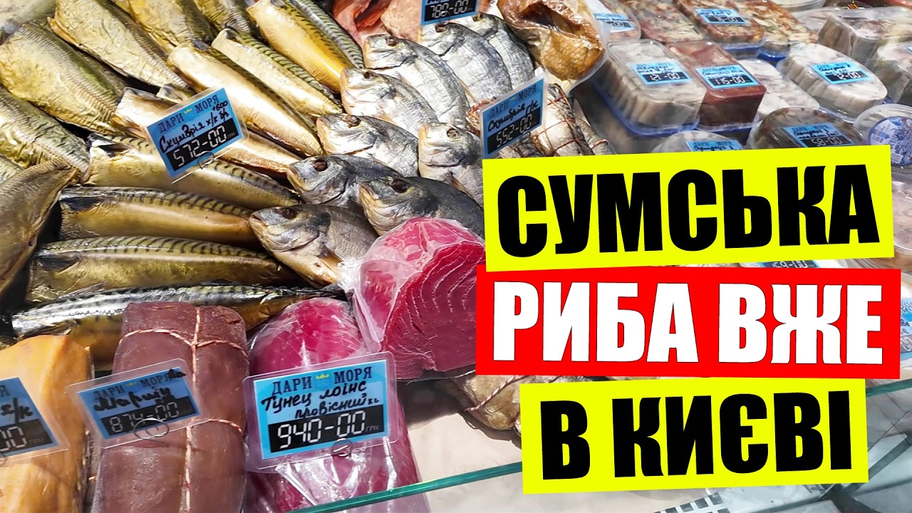 🦈ВІДКРИТТЯ 