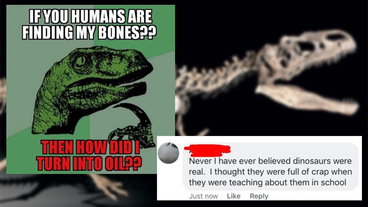 Dinosaurs are FAKE | r/InsanePeopleFacebook