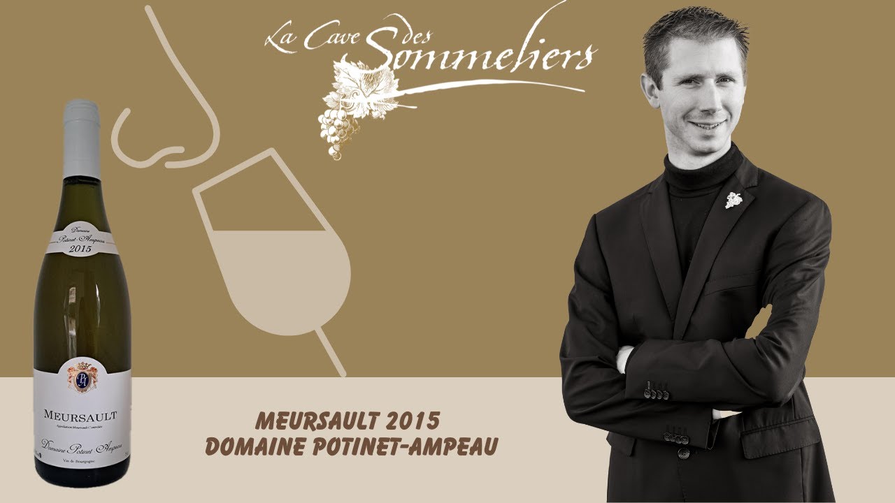 Je déguste pour vous le Meursault 2015 du domaine Potinet-Ampeau