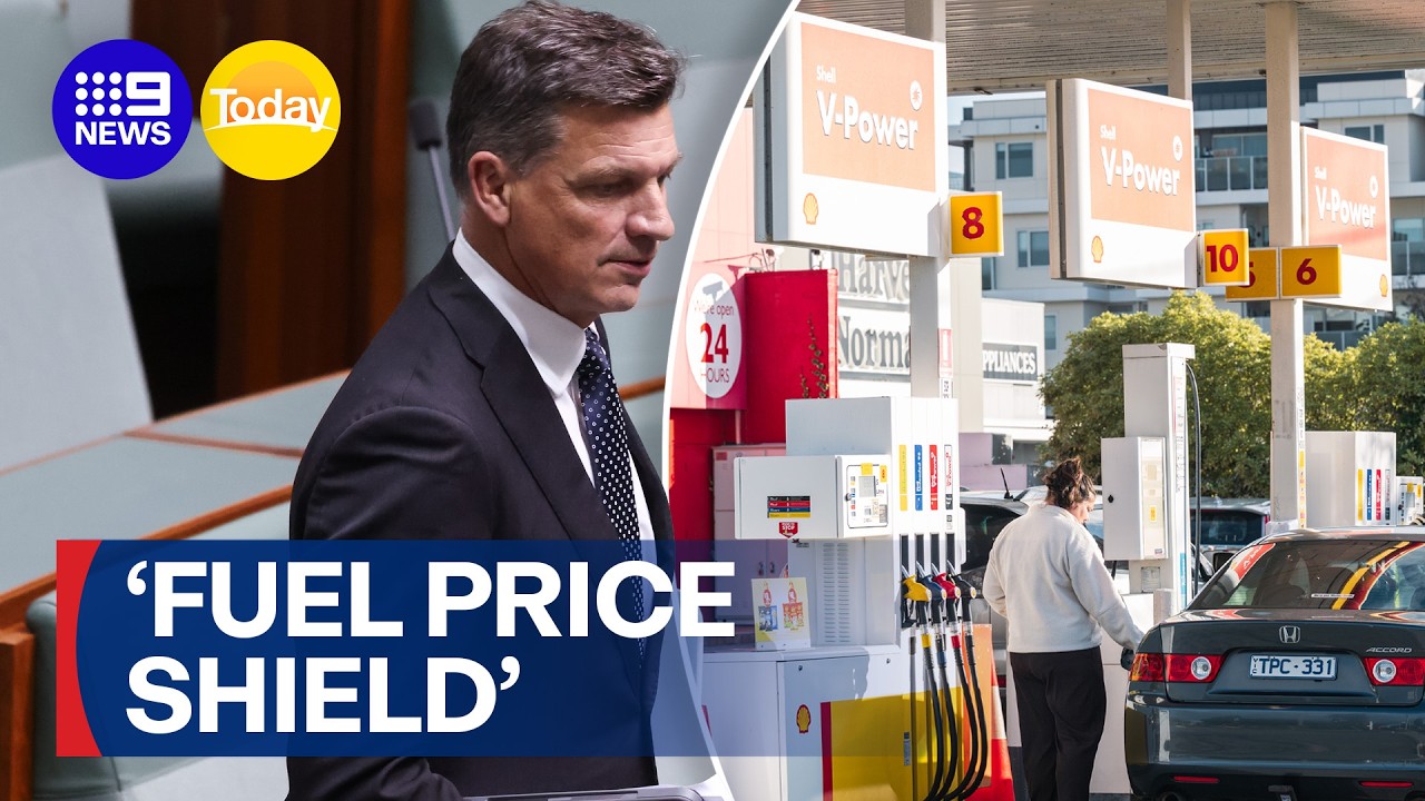 Opposition vows to halve fuel excise tax | 9 News Australia