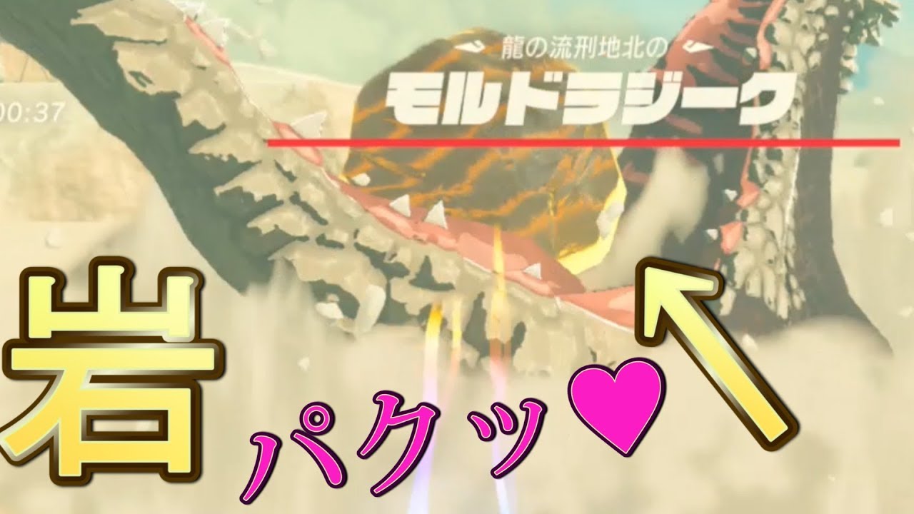 岩でモルドラジークと戦ってみた＋肝渡した後メルエナは旦那の元へ向かっているのか？【ゼルダの伝説ブレスオブザワイルド】検証　実況