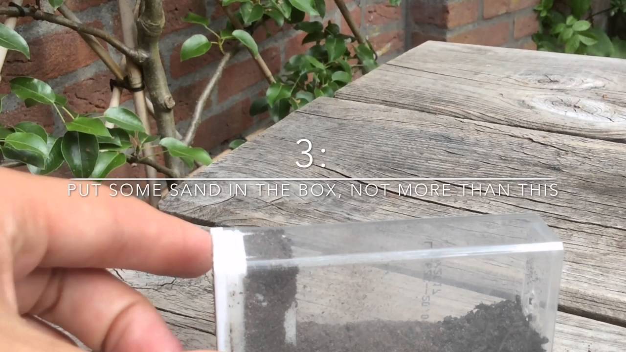 Mini Ant Farm - DIY