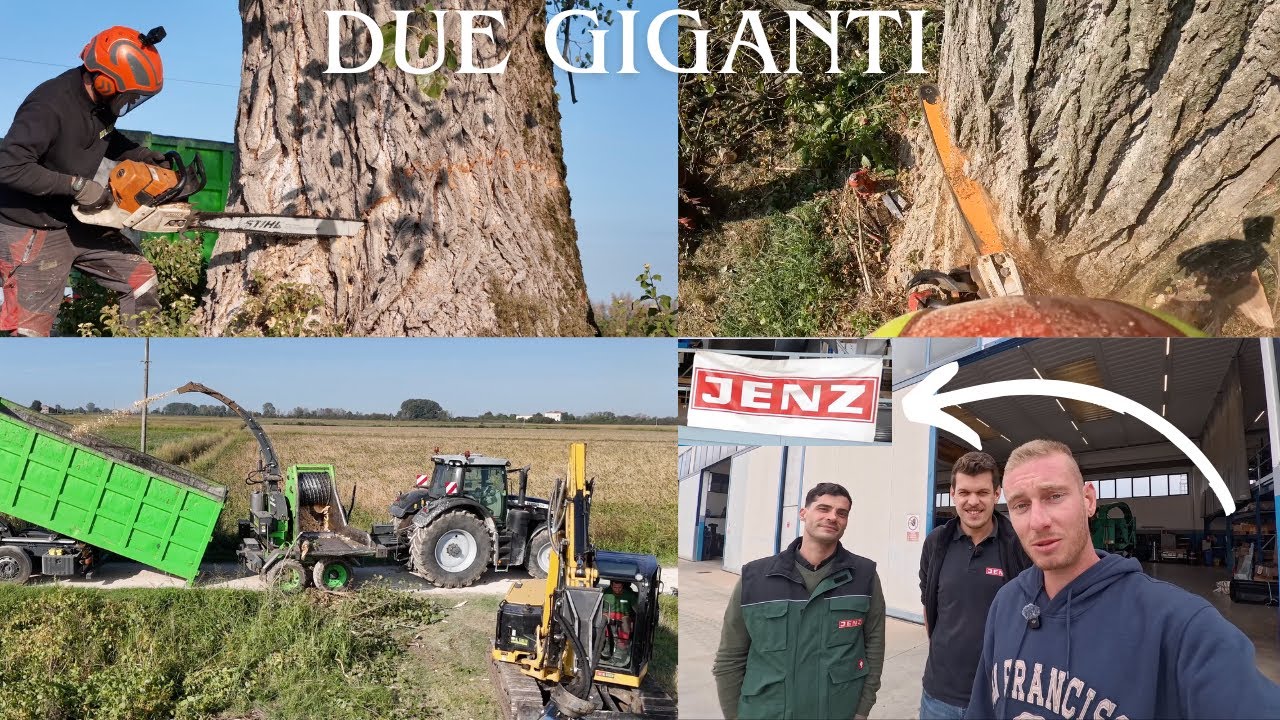 ABBATTIMENTO DUE PIOPPI GIGANTI E VISITIAMO LA VAMA ECOLOGY / JENZ CIPPATORI