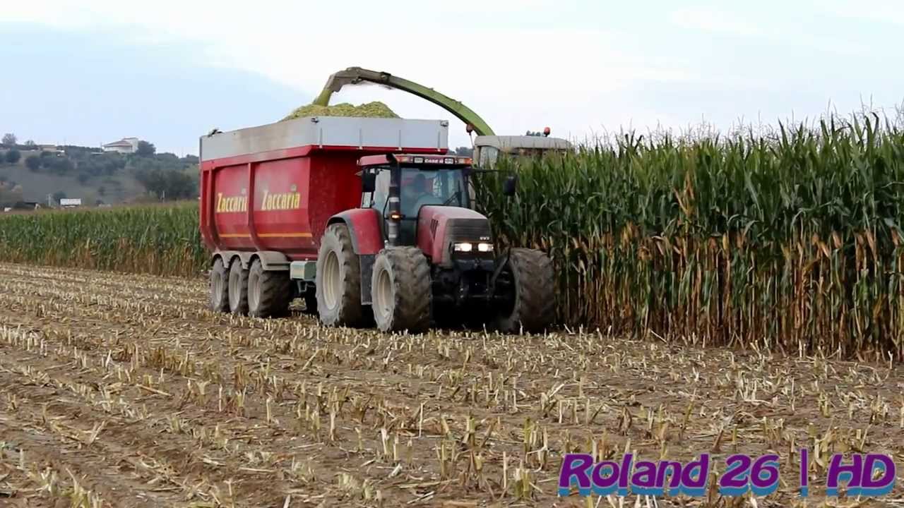 Insilato Mais 2013  Claas jaguar 840  Case con Zaccaria 3 Assi  -Sound-  _Full HD_