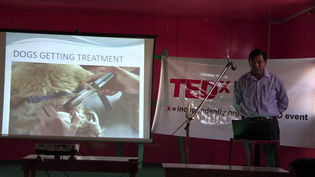 Combating dog menace -- vaccination and sterilization of stray dog | Dr Tsewang Morup | TEDxLeh