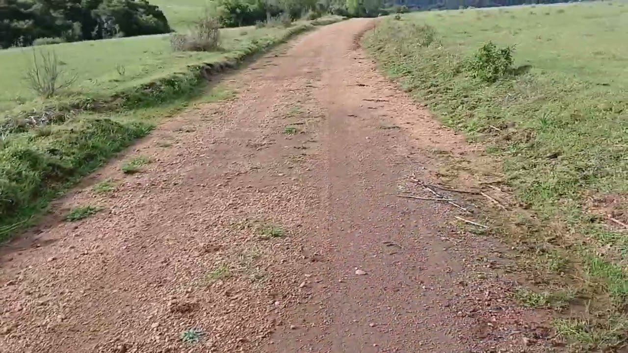 Bros 125 pure sound