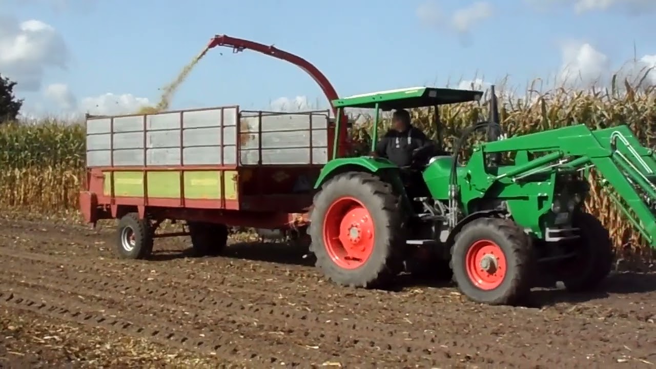 Maisernte mit Deutz und IHC