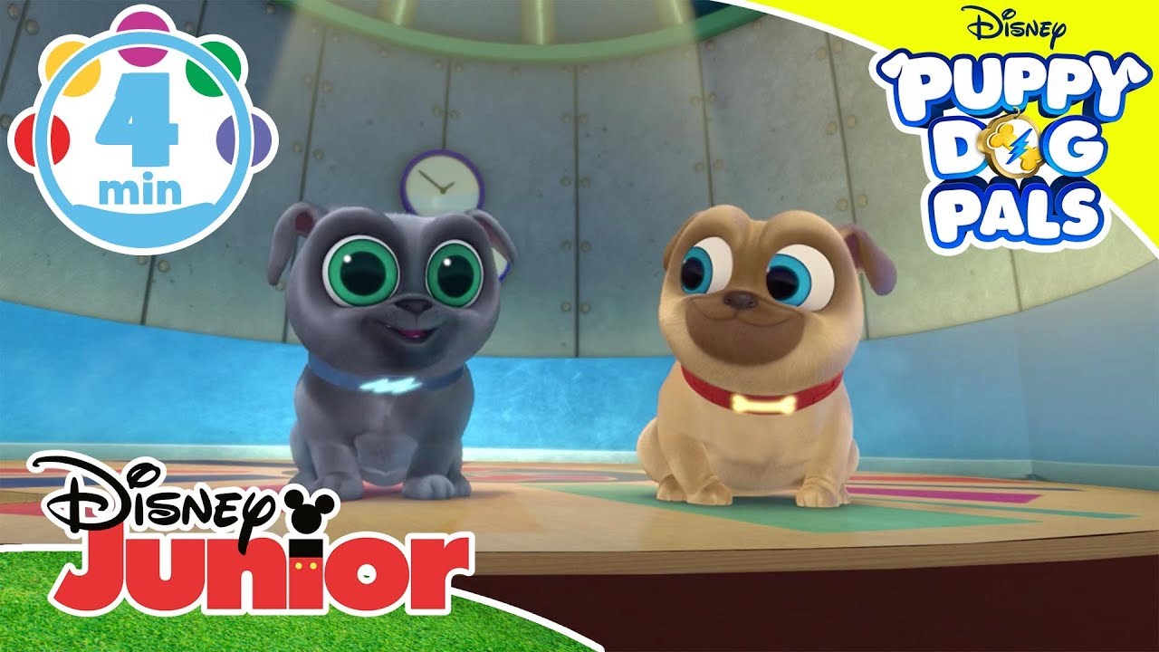 Puppy Dog Pals | Music Compilation