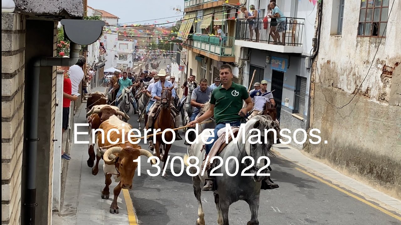 Encierro de Mansos. Valverde del Fresno, 13 de Agosto de 2022
