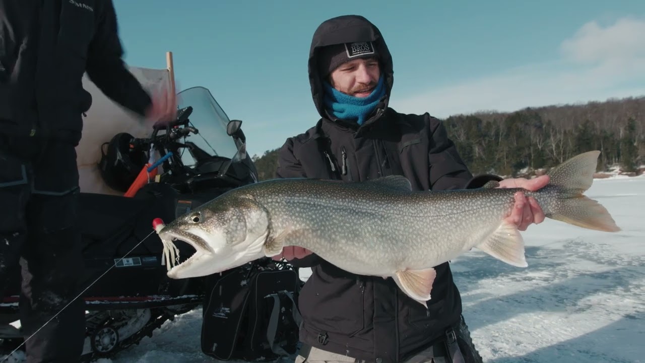Lake Superior | Apostle Islands Lake Trout