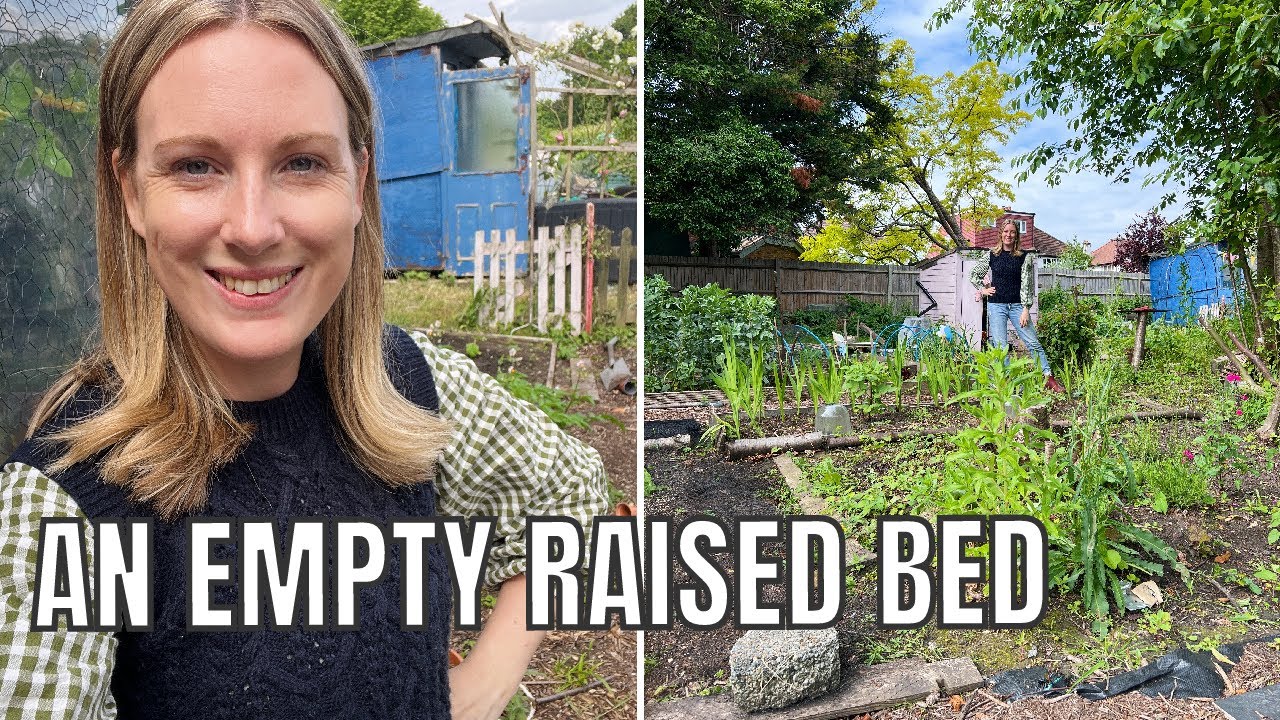 FILLING AN EMPTY RAISED BED / ALLOTMENT GARDENING FOR BEGINNERS