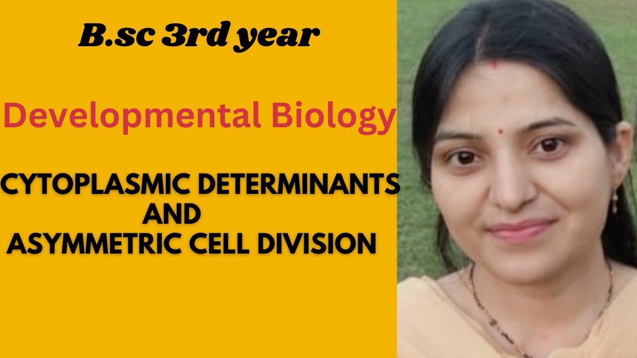 Cytoplasmic determinants And Asymmetric cell division In Developmental biology b.sc 3rd year||#gnb