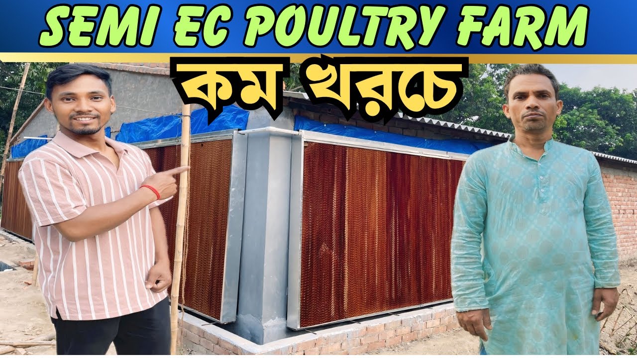 কম খরচে কিভাবে সেমি অটো Ec Poultry Farm তৈরি করেছেন | Ec Poultry Farm