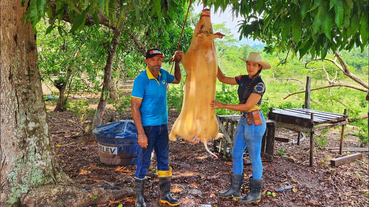 ABATEM0S P0RCO GIGANTE! Muita fartura na roça.