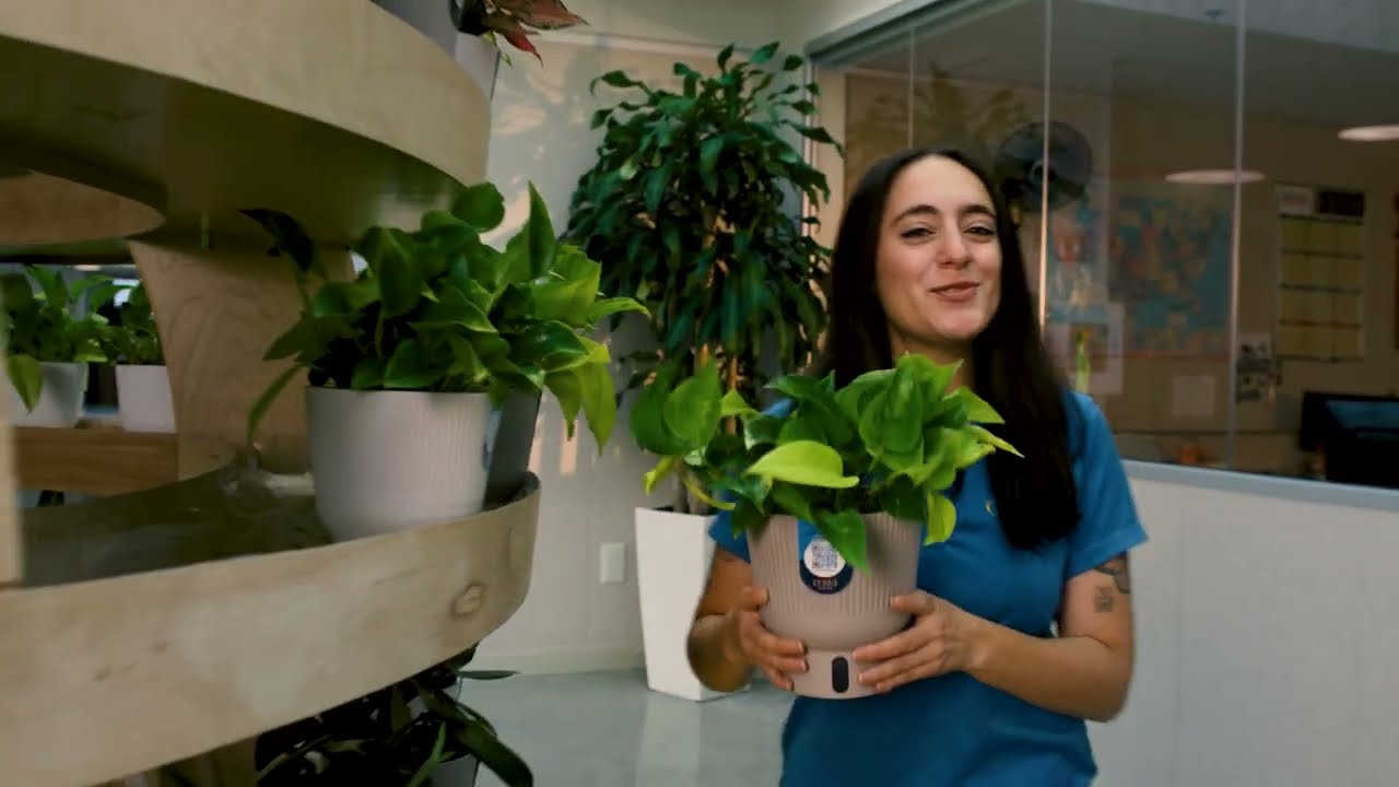 Видеоролик, посвященный 65-летию Costa Farms.