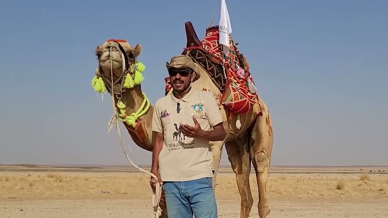 تقرير دحلان الرحاله منير الدهمي يخوض تجربة السفر على ظهر الجمل من حضرموت الى مكه.