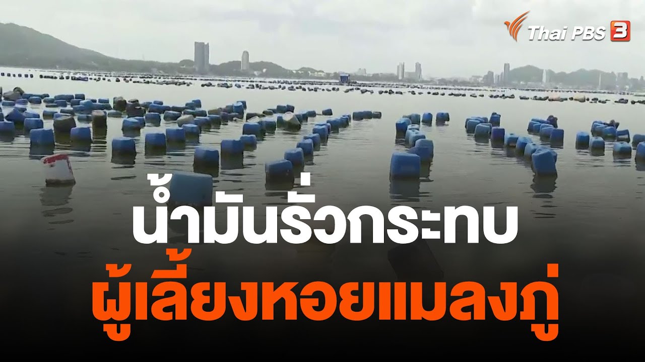น้ำมันรั่วกระทบผู้เลี้ยงหอยแมลงภู่ จ.ชลบุรี | จับตาสถานการณ์ | 6 ก.ย. 66