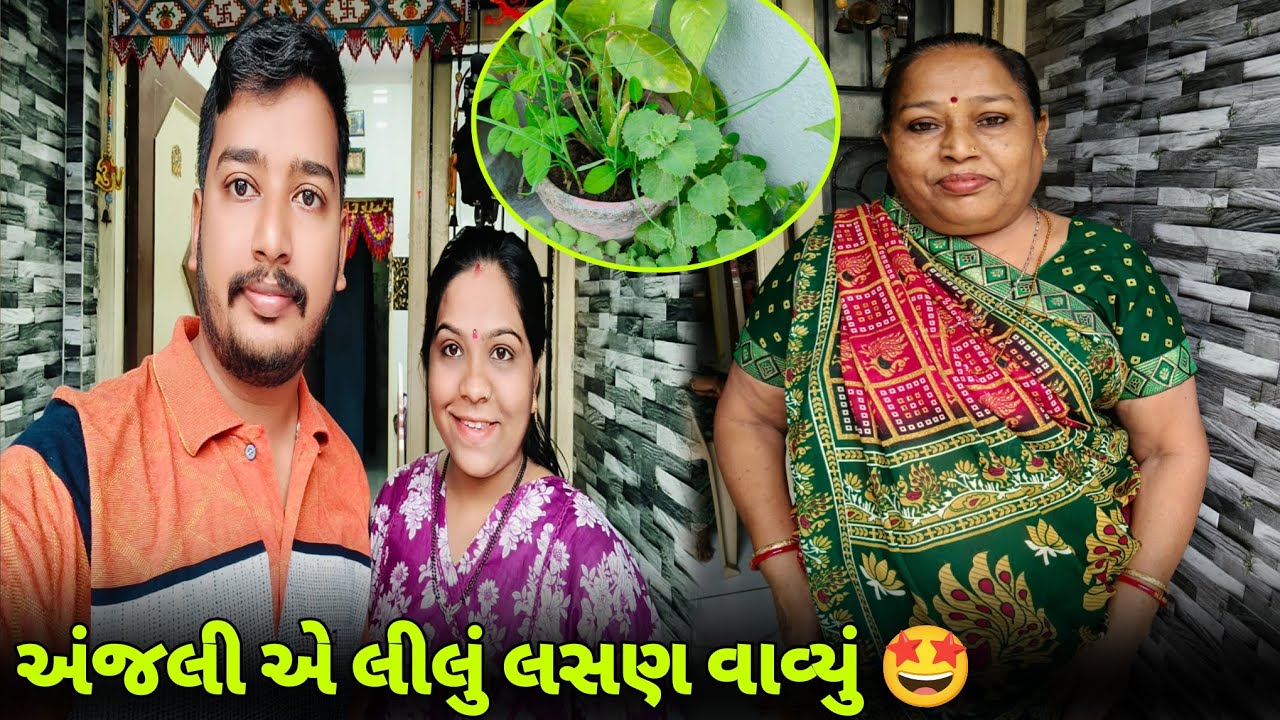 અંજલી એ લીલું લસણ વાવ્યું 🤩 | Gujarati Family Vlog | Bhavikwithanjalivlogs 