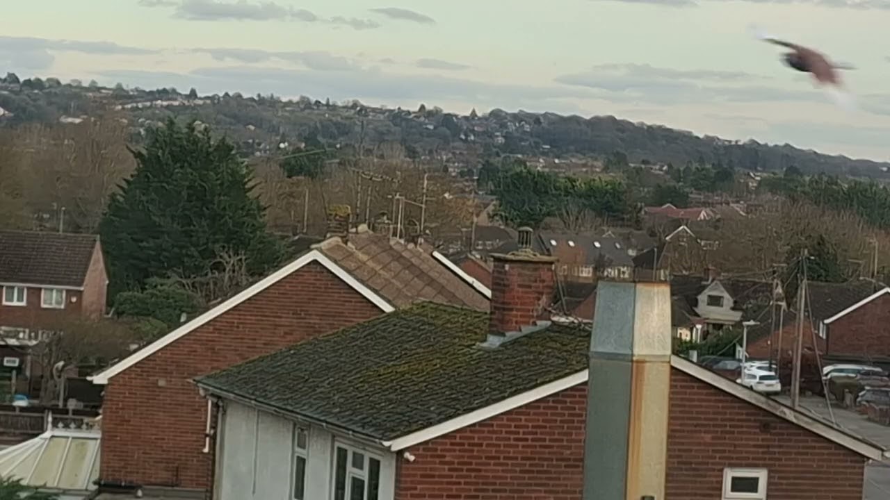 My first video of plane spotting (London Luton Airport)