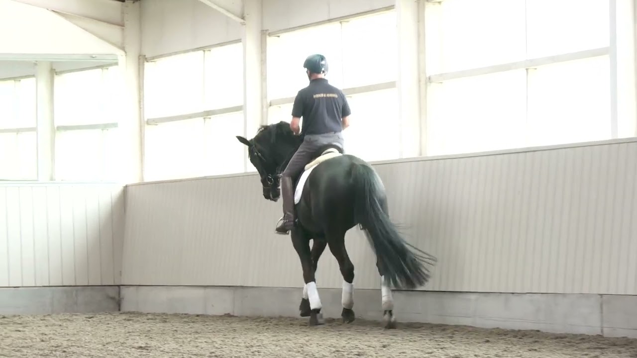 Richard Davison: dressage outlines | Your Horse
