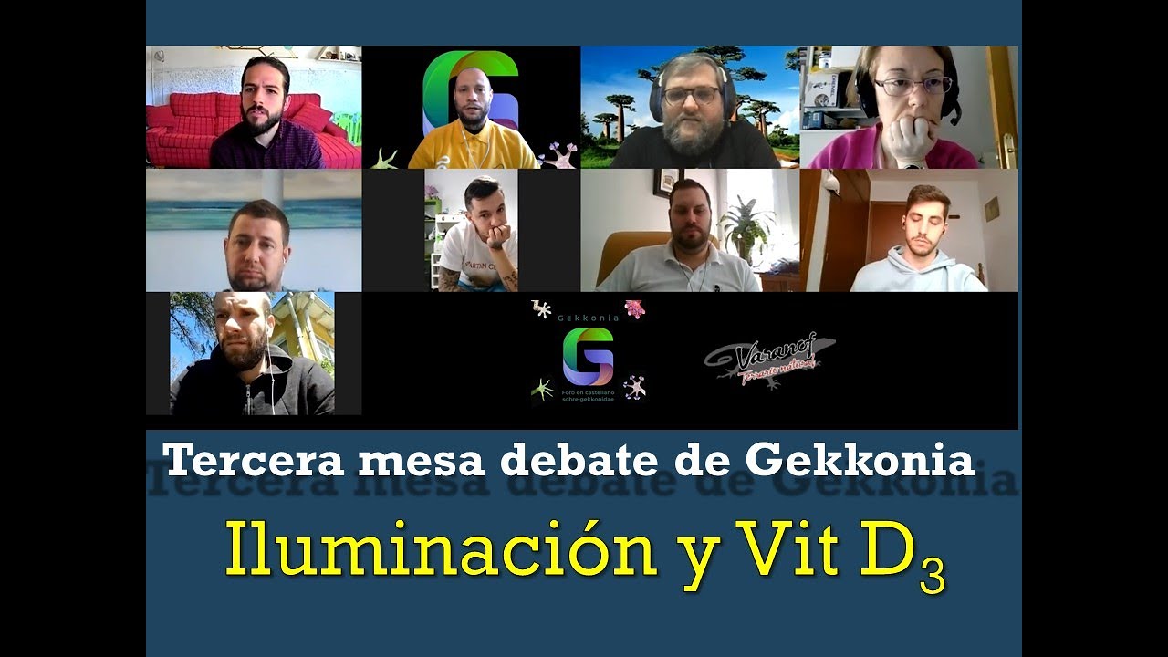 Gekkonia - Tercera Mesa. 18 abril 2021. Iluminación y Vit D3
