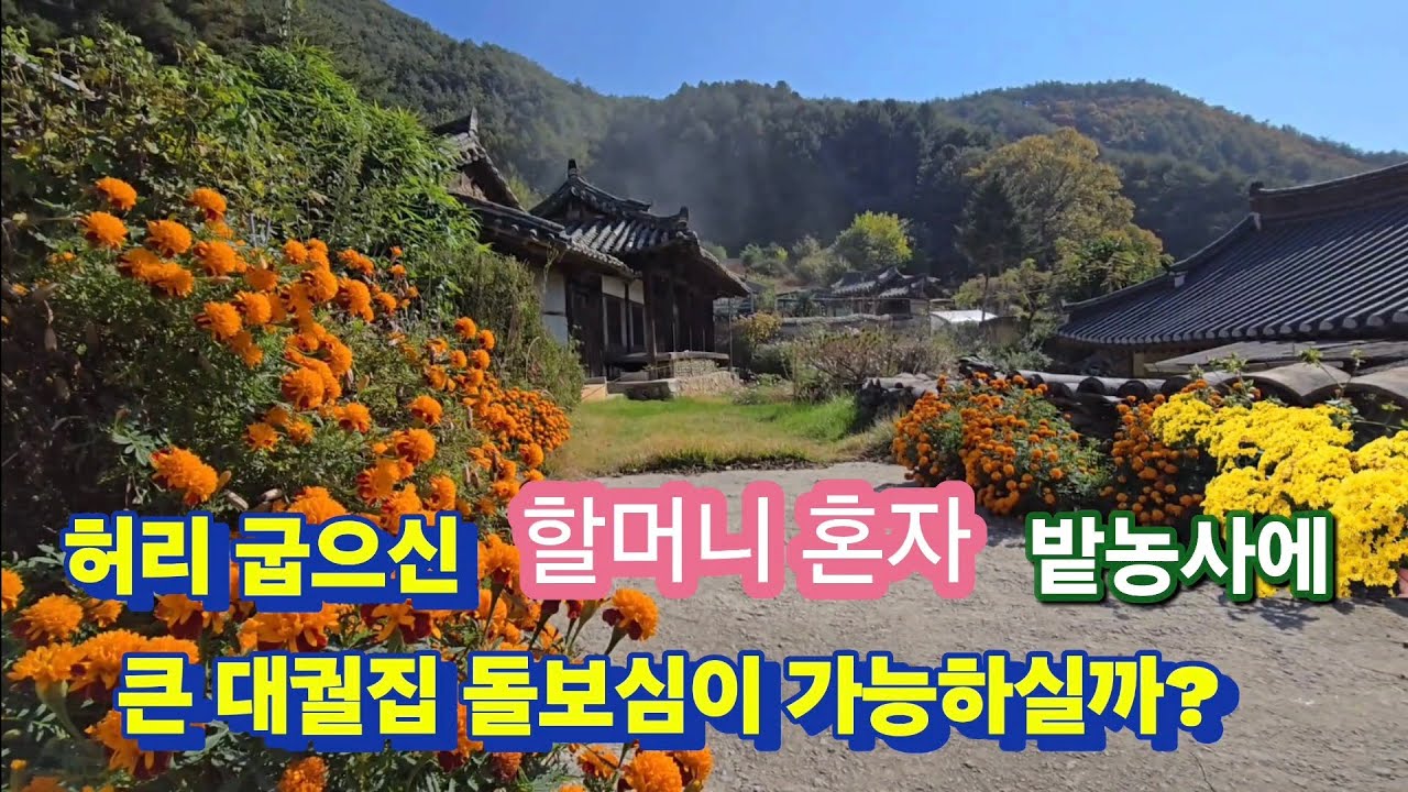 이미 옆집들은 빈집. 근데 엄청 깨끗한 큰집을 허리굽으신 할머니 혼자 어떻게 가능하실까?