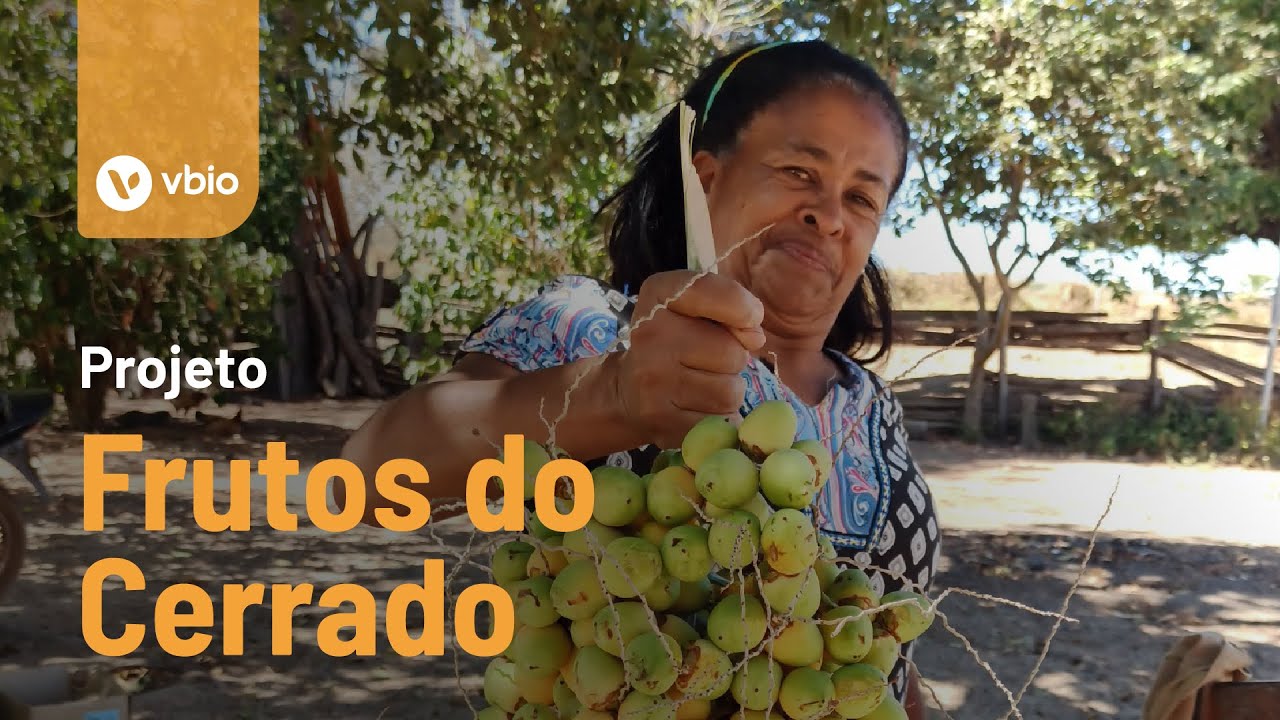 Projeto Frutos do Cerrado: conservação, renda e impacto social