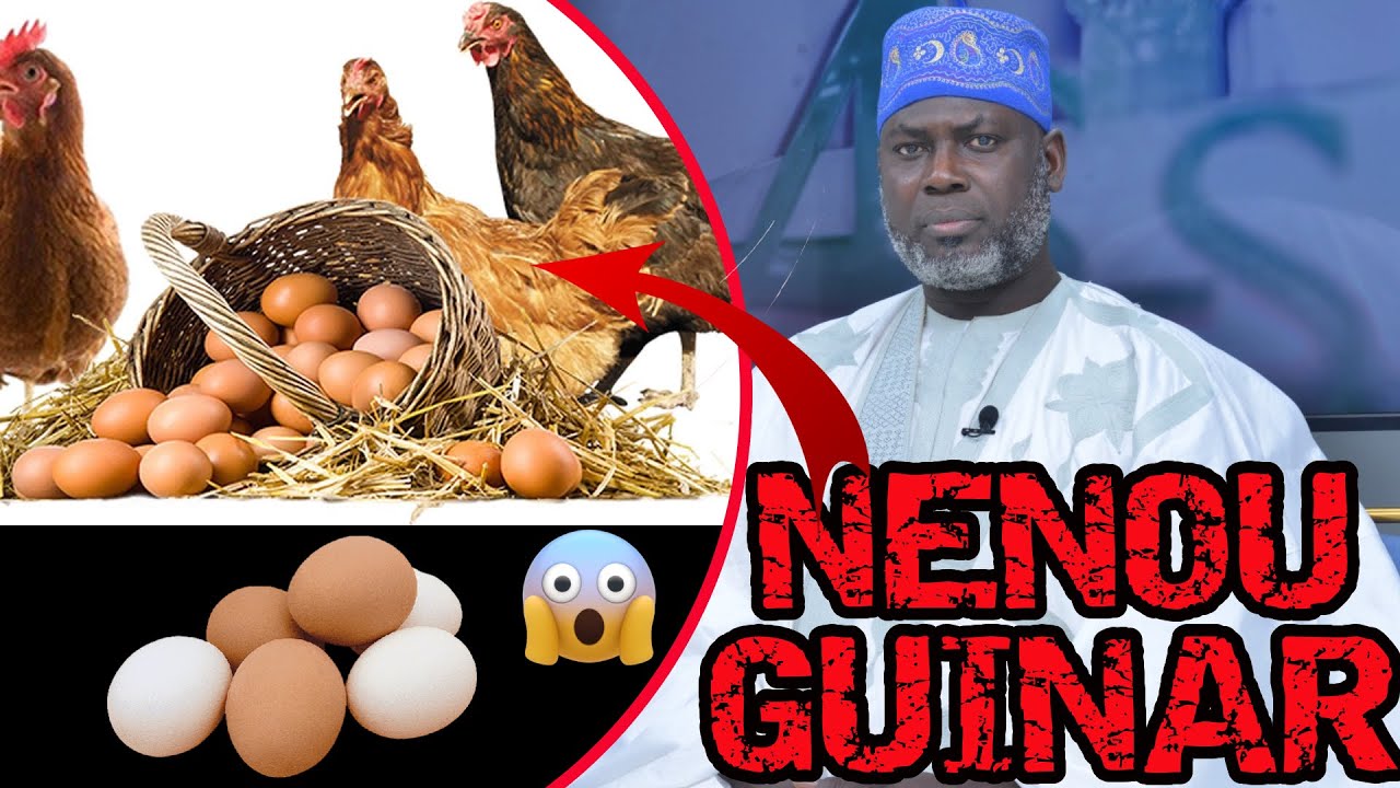 Nénou guinar rou wolof (oeuf de poulet) aka beuri ay ndiarigne degloul ci El hadji Malick Gueye wakh