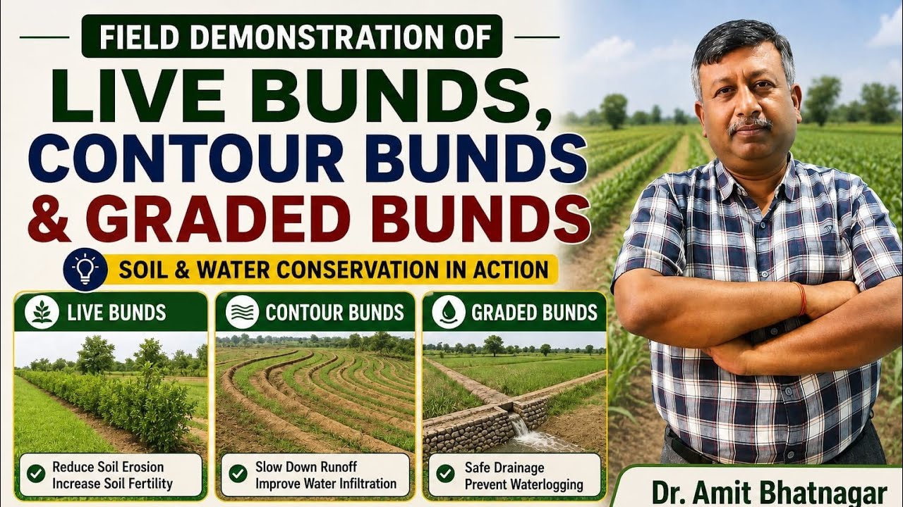 Field Demonstration of Live Bunds, Contour Bunds and Graded Bunds