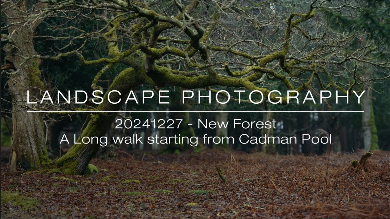 20241227   Cadman Pool long walk