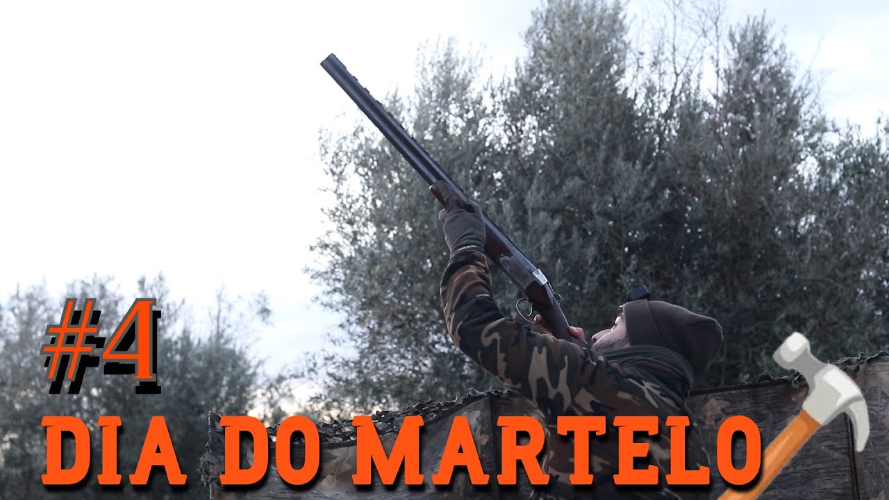 Ca&ccedil;a aos tordos #4|dia do martelo| casa de zorzales |chasse de grives