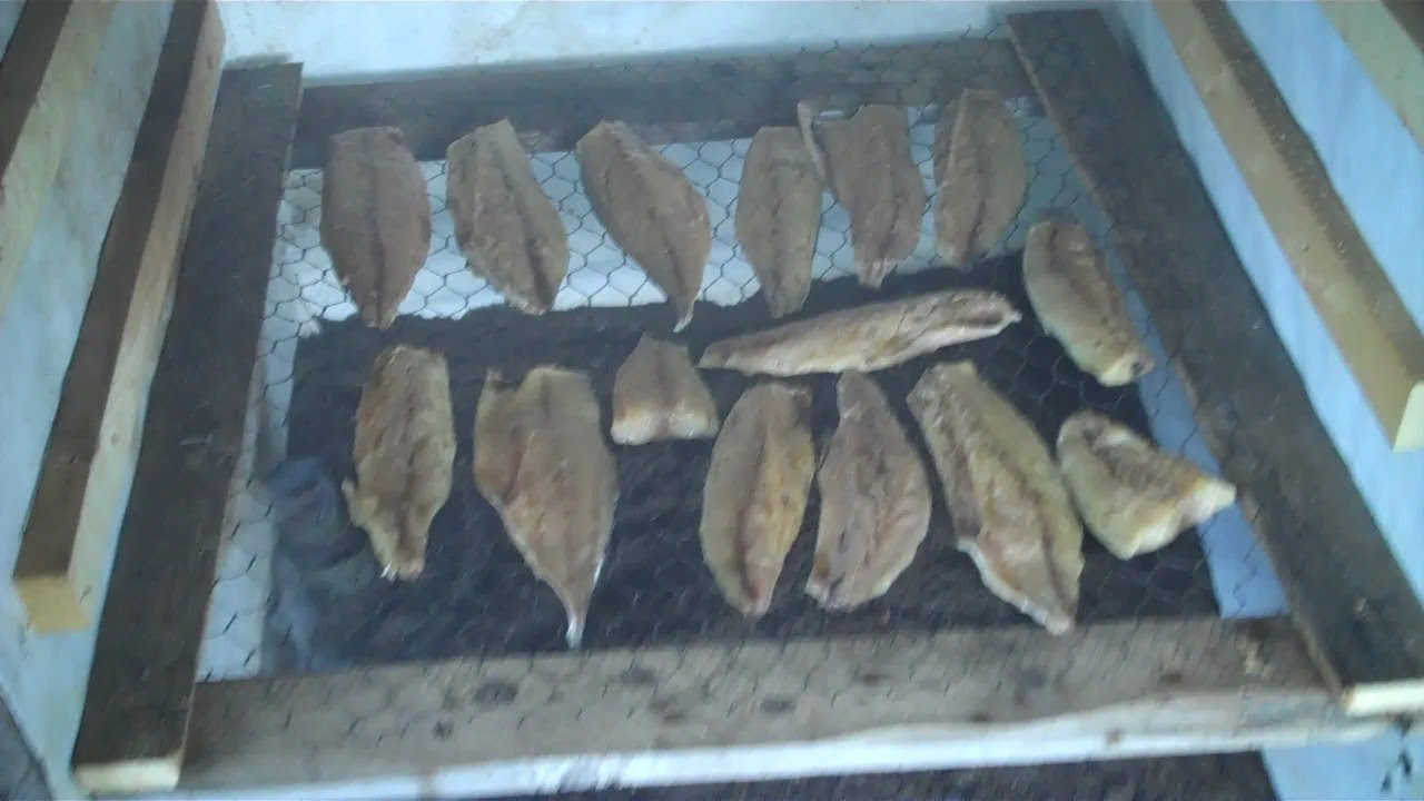 Smoking mackerel and capelin in my new homemade  smoker