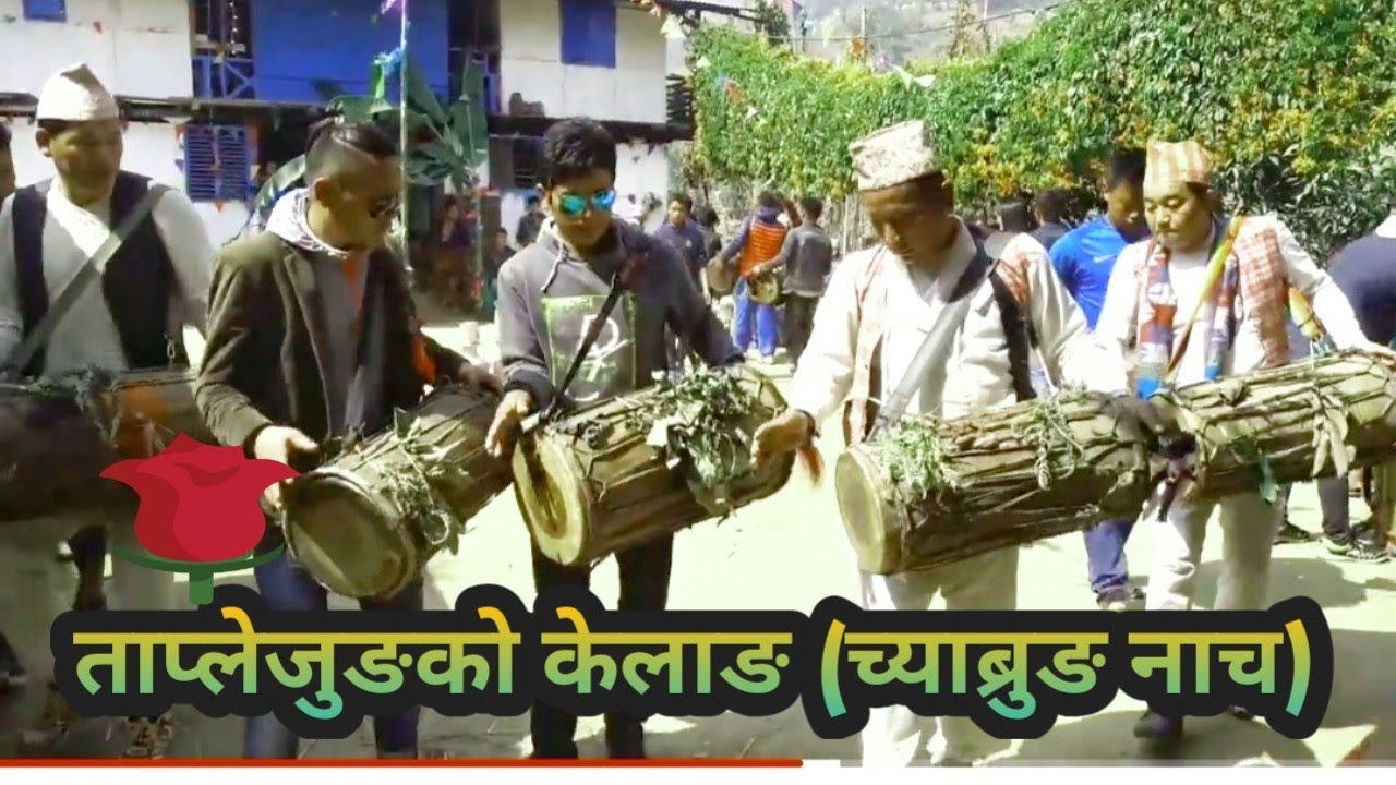 Limbu kelang-Chyabrung Dance Taplejung च्याब्रुङ नाच नाच्दै किरात लिम्बु ताप्लेजुङ ।