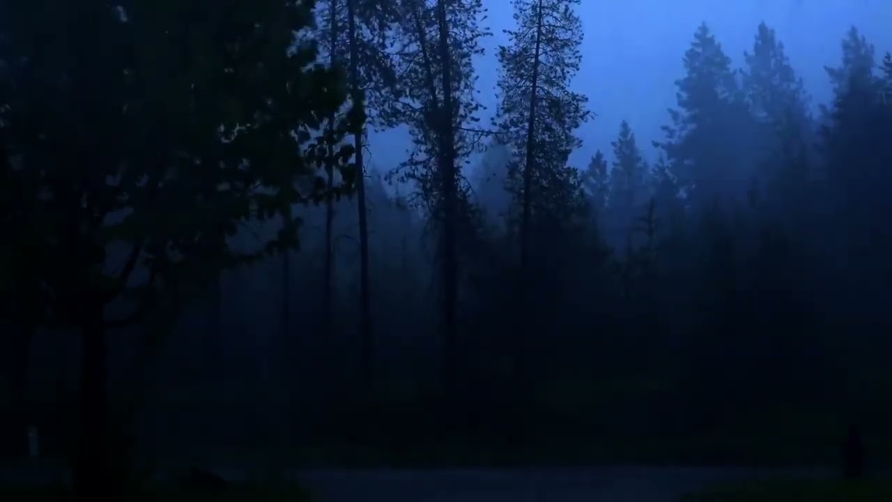 Real Field Recording: Mountain Evening Wind, Rain & Thunder Sounds | Sleep, Study, Focus | 12 Hours