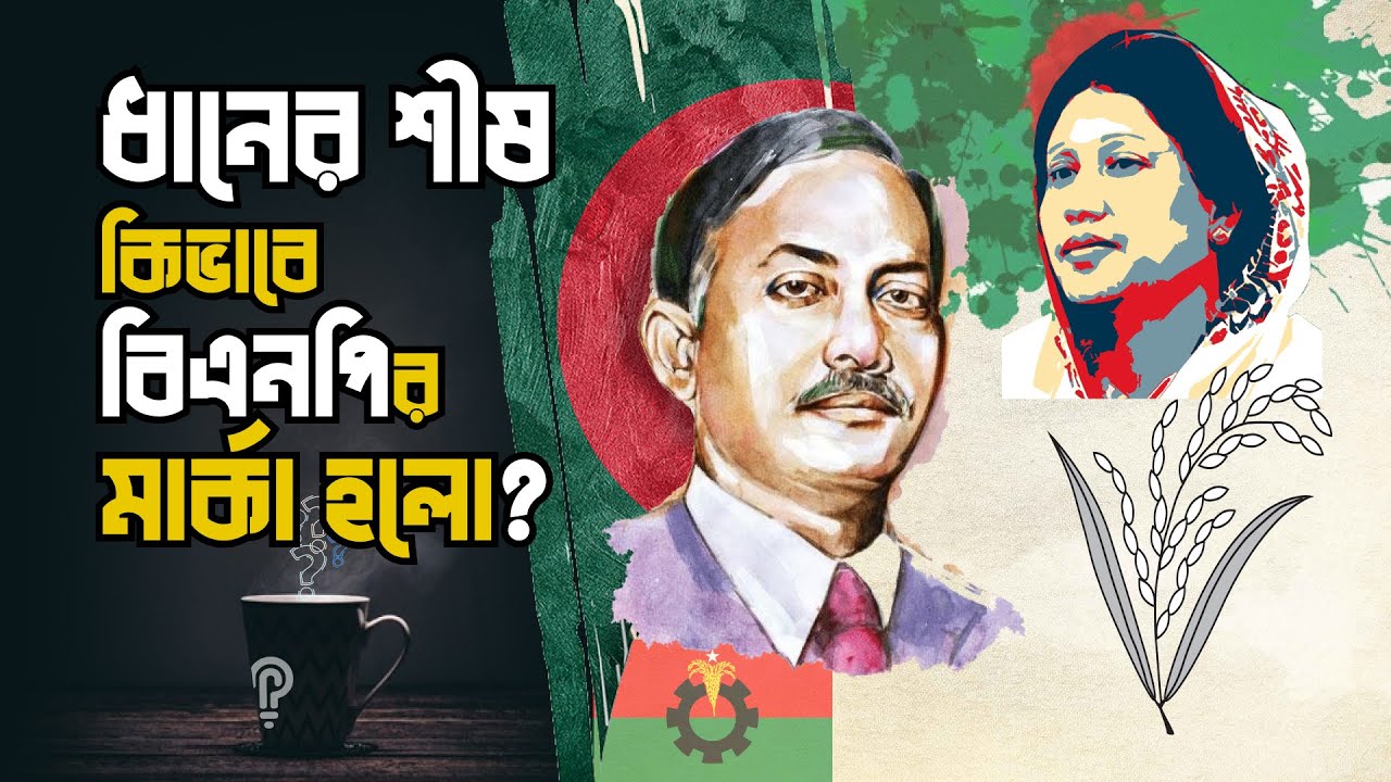 ধানের শীষ, কিভাবে বিএনপি'র মার্কা হলো? পরিচয় | Hok Porichoy | Dhaner Sish | BNP