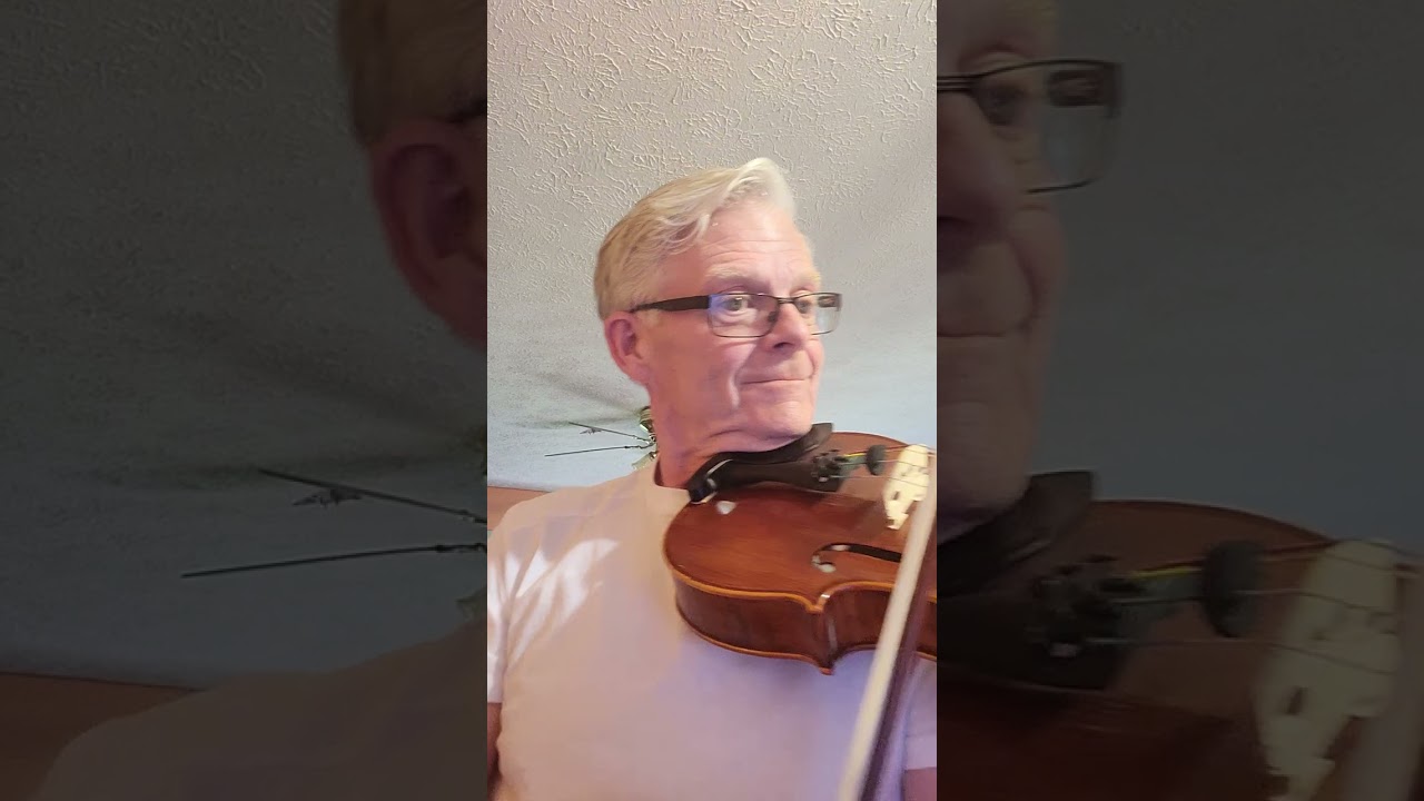 Pupil's Concerto No. 2 by Friedrich Seitz Op. 13 for viola Allegretto moderato