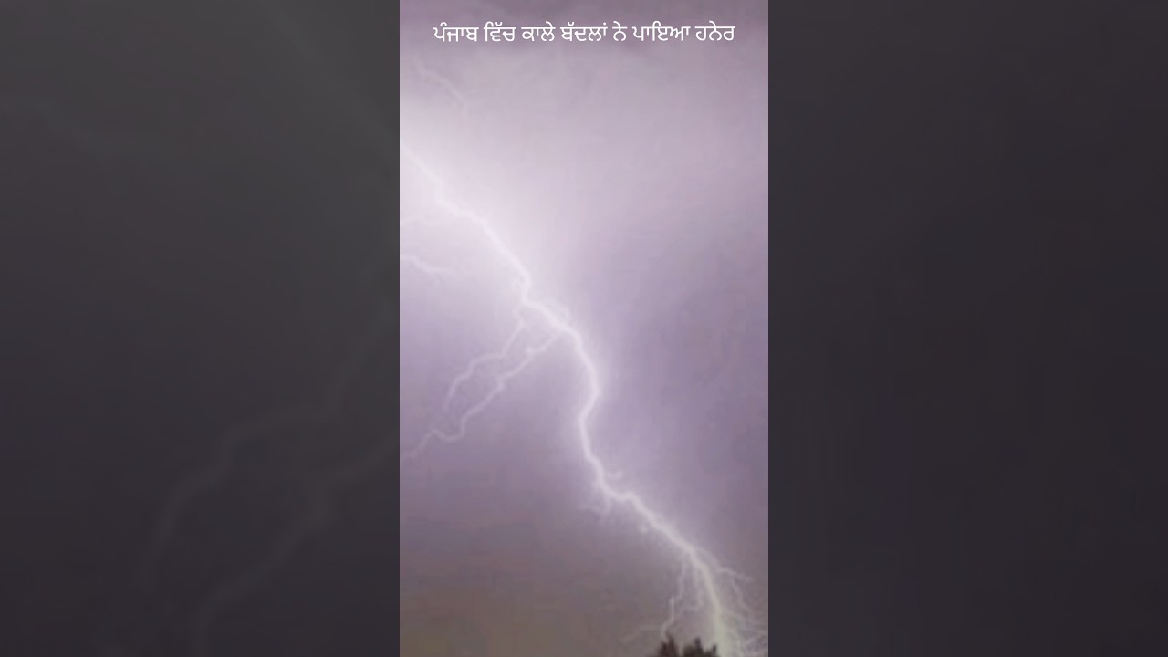 Rain & Thundering in Punjab #weatherupdate #rain #thunderstorm