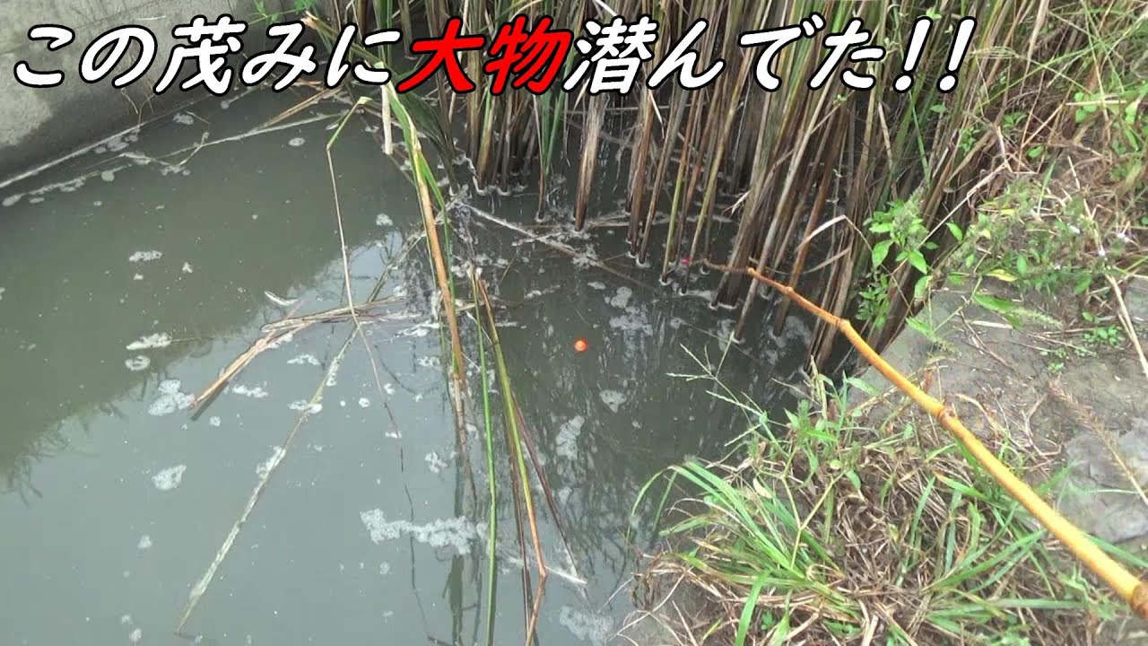 茂みに大物潜んでた！！！