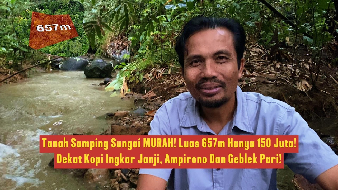 Tanah Samping Sungai MURAH! Luas 657m² Hanya 150 Juta! Dekat Geblek Pari Dan Ampirono!