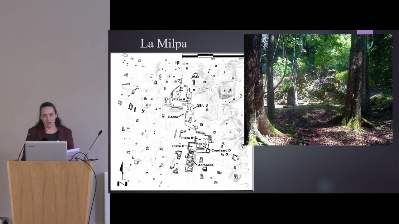 Aspects of a Maya urban network in northwest Belize